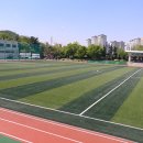 내손체육공원 잔디구장 이미지