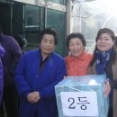 옥천2리 이미지