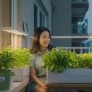 (주)태산스마트팜 | 아파트 베란다 10만원으로 스마트팜 만들기, 월 식비 절약법