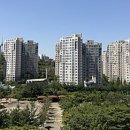 마곡서1로(서측) 이미지