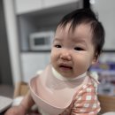 망고네 까까 | 20260118 D+315 (부제: 클레 이유식, 망고바나나 첫 도전!)