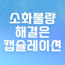 뉴트리코어안산 | 캡슐레이션효소 그레인온 파로 소화불량 해결의 핵심