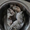 신이펜션 이미지