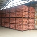 경북깐마늘 이미지