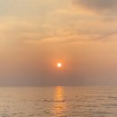 미숙목장 이미지