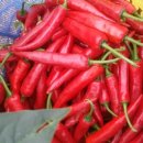 빨간고추 이미지