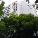 백범로 124번길 이미지