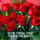 유심(唯心) - 마음(心) 공부 이미지