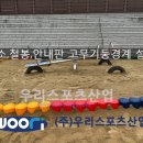 의정부초등학교 이미지