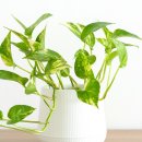 동남빨래나라 이미지