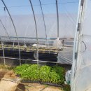 우리밥상 이미지