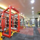 강원헬스클럽 이미지