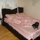 영태3리 이미지