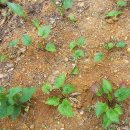 구석농장 이미지