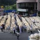 안동와룡농협 이미지