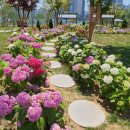 경제청내 이미지