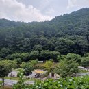 서운산자연휴양림 이미지