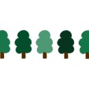 실버인지지도사 이미지