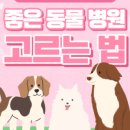 송도 24시 오케이동물병원 이미지