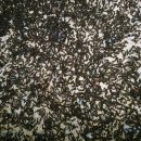 도덕골낚시터 이미지