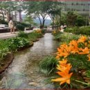 르네상스빌딩 앞 이미지