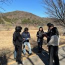 전주 두꺼비 이미지