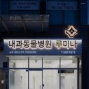 내과동물병원 루미나 | 강남동물병원 내과동물병원루미나 세심한 진료로 믿음직한 병원