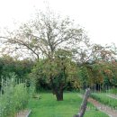 천서농장 이미지