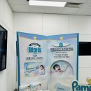 제로소프트(주) | 팸퍼스 서포터즈 특권 중 하나, 신제품 최초 공개 행사 팸퍼스 팸미팅 참여 후기