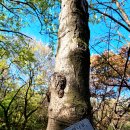 대구광역시립 두류도서관 이미지