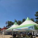 GS25 울산진하점 | 2025 여름휴가 독수리즈 1) 진하해수욕장 해수욕 숙소추천 레지던스호텔블루오션뷰