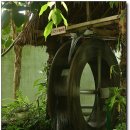 안산 식물원 이미지