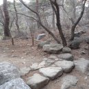 대관령 솔내음 오토 캠핑장 이미지