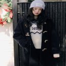 로라 이미지