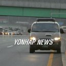 인천공항 고속도로 개 출현 `소동' 이미지