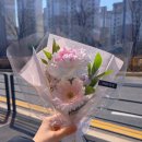 디자인케어랩 이미지