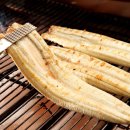 기운센장어 이미지