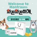 프로애견 이미지