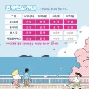 장승포해안로 이미지