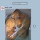 표기획