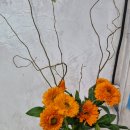 연무요양병원 이미지