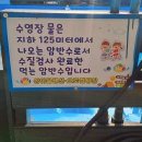 상아골계곡오토캠핑장 이미지