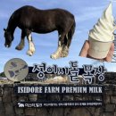 고향목장 | 제주 여행 | 제주 서쪽 여행 코스 입장료 무료 목장 유기농 우유 아이스크림 포토존 ‘성이시돌목장...