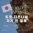 팅커벨과 피터맨 | 도쿄 디즈니씨 오픈런 꿀팁 및 놀이기구 8개 타고 온 후기