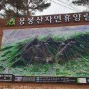 용봉산산림전시관 Daum카페