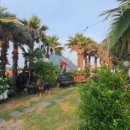 블랙피그엔산방산파크텔 이미지