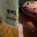 여우손톱 - 안양시 동안구 평촌대로211번길 16 | 여우손톱