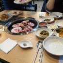 이베리코의전설화도