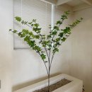 스튜디오인남해펜션 이미지