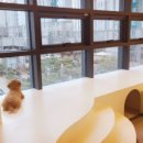 도그힐튼 이미지